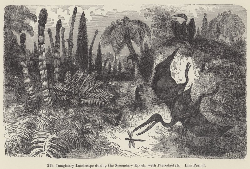 Imaginärt landskap under den sekundära epoken, med Pterodactyls, Lias Period (gravyr) av European School