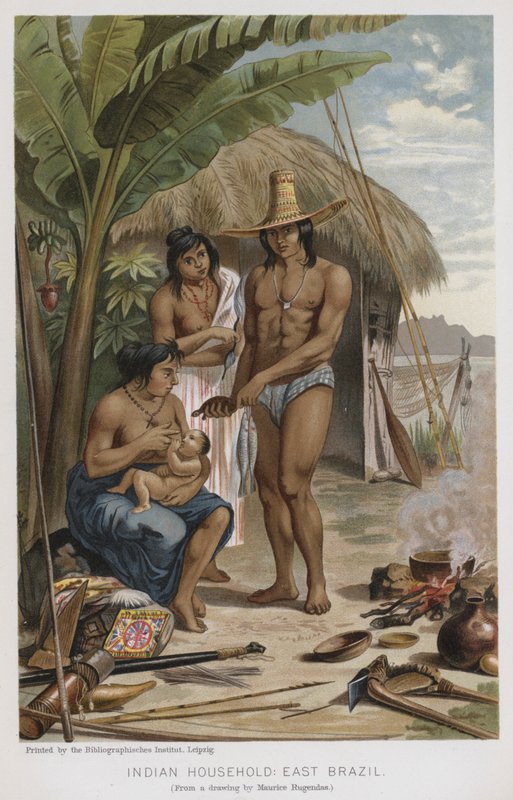 Indiskt hushåll, östra Brasilien (chromolitho) av European School