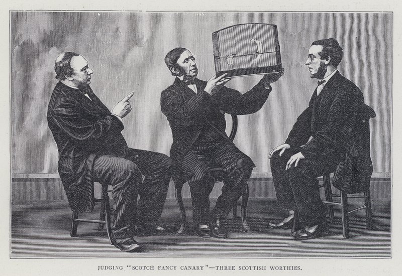 Att döma "Scotch Fancy Canary", Three Scottish Worthies av European School