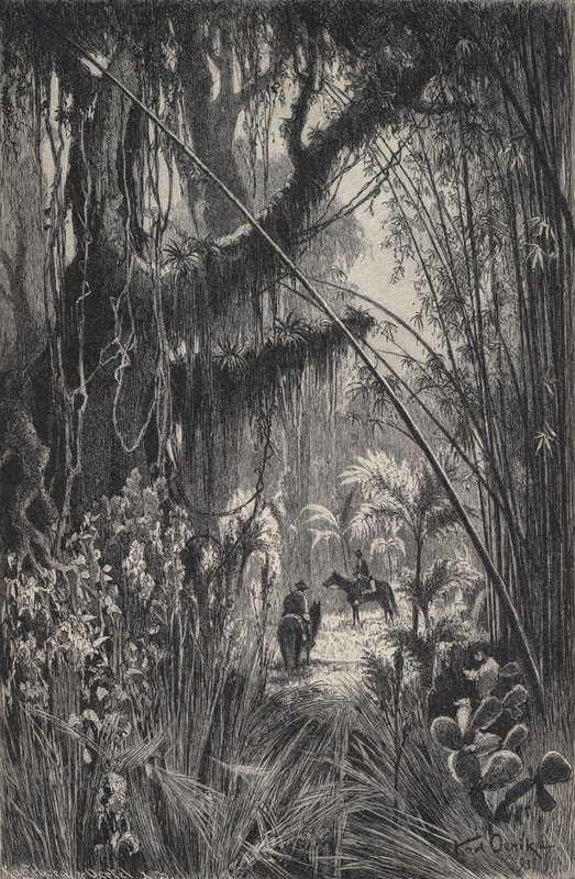 Djungel i Cordillera i Salta, nordvästra Argentina (litho) av European School