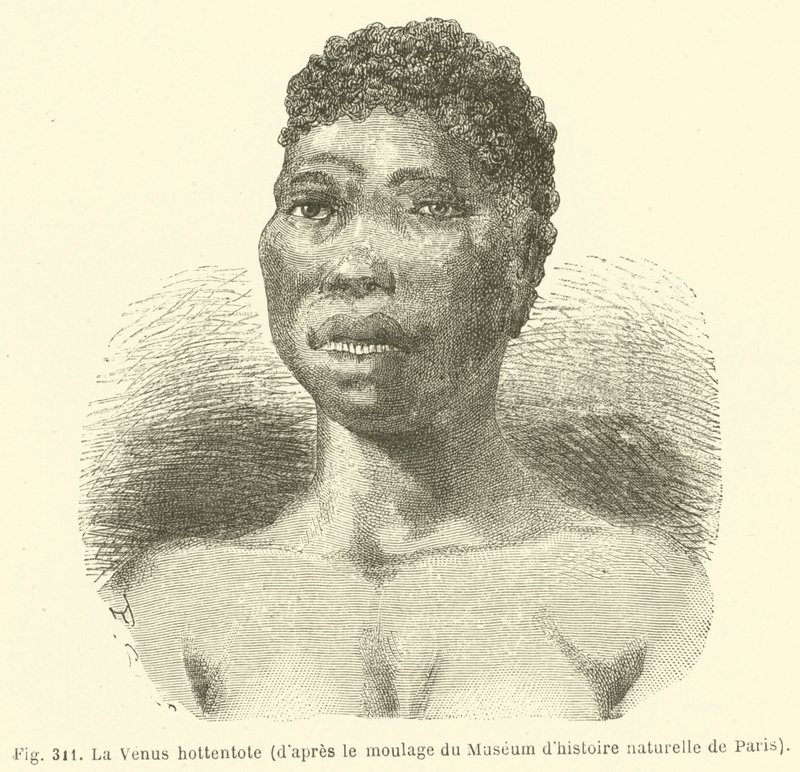 Hottentot Venus, från rollbesättningen av Naturhistoriska museet i Paris (gravyr) av European School