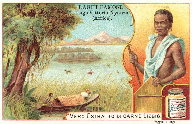 Victoriasjön, Afrika (chromolitho) av European School