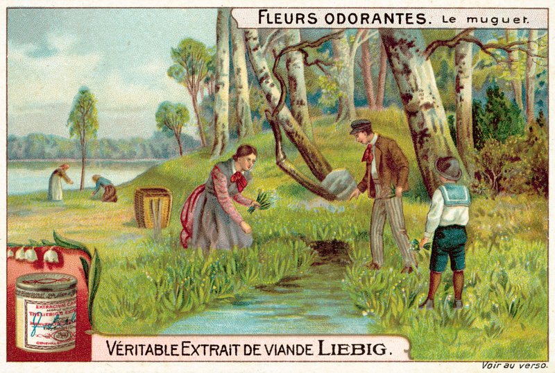 Liljekonvalj (chromolitho) av European School