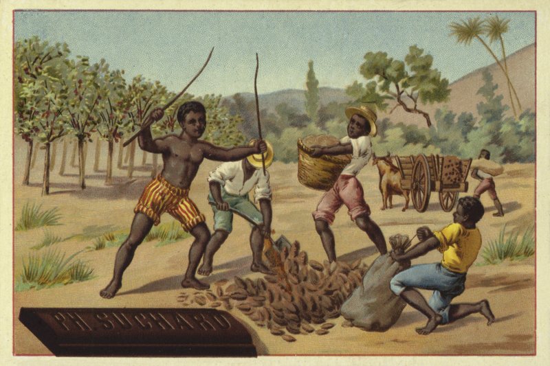 Laddar kakaoskidor i säckar, Afrika av European School