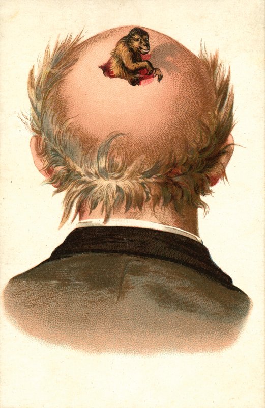 Manligt huvud - med apa som klättrar ut (chromolitho) av European School