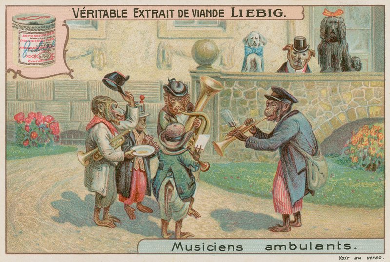 Apor i ett band av European School