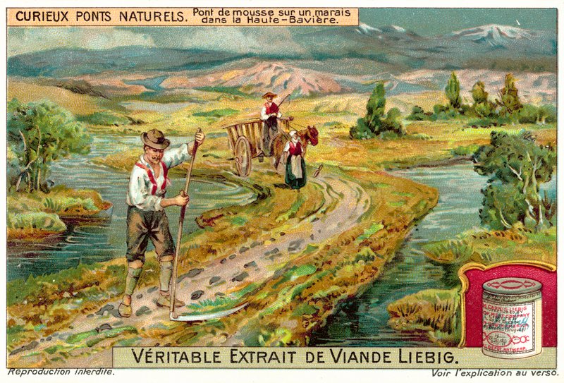 Mossbro i en mosse i Oberbayern (chromolitho) av European School