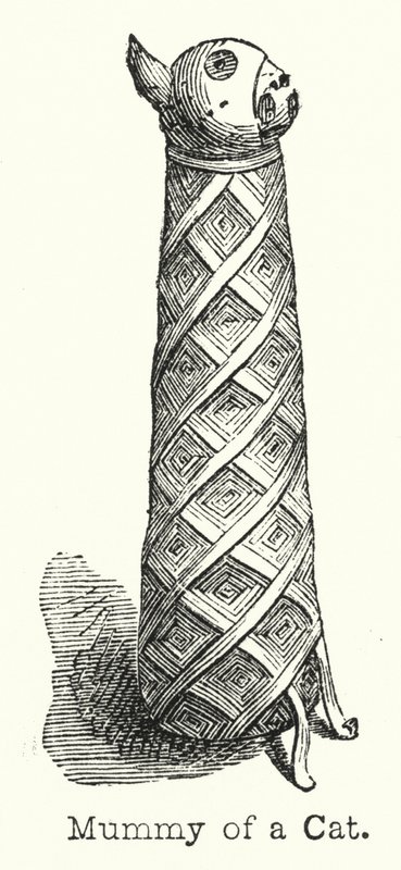 Mummy of a Cat (gravyr) av European School