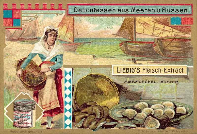Musslor och ostron (chromolitho) av European School