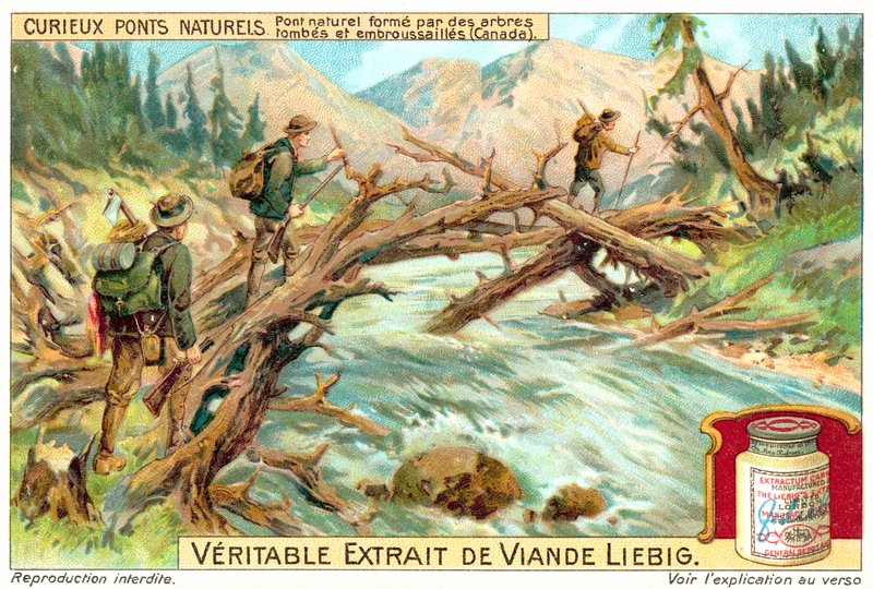Naturlig bro bildad av fallna och övervuxna träd i Kanada (chromolitho) av European School