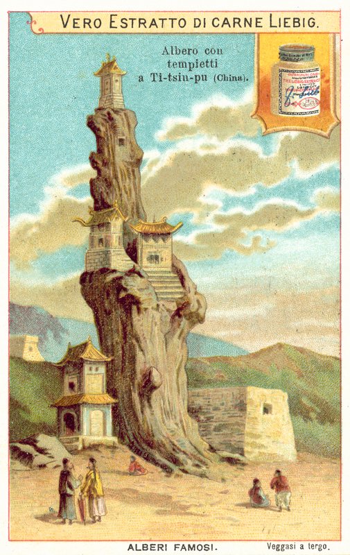 Gammalt träd med tempel på det i Kina (chromolitho) av European School