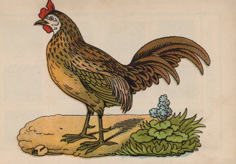 Sida från den magiska boken (färg litho) av European School