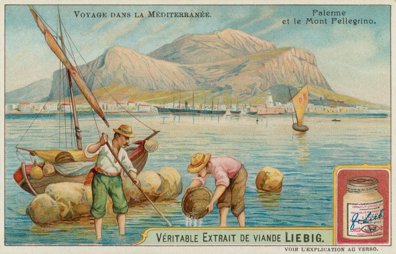 Palermo och berget Pellegrino av European School