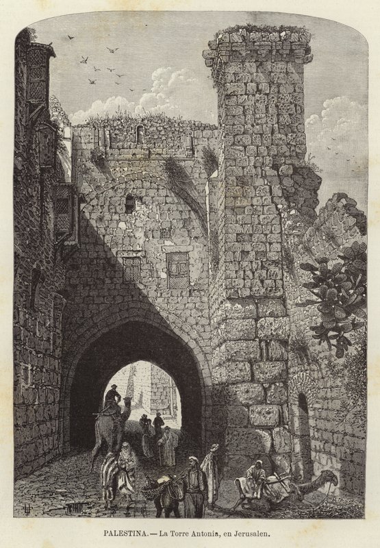 Palestina, Antoniatornet, i Jerusalem av European School