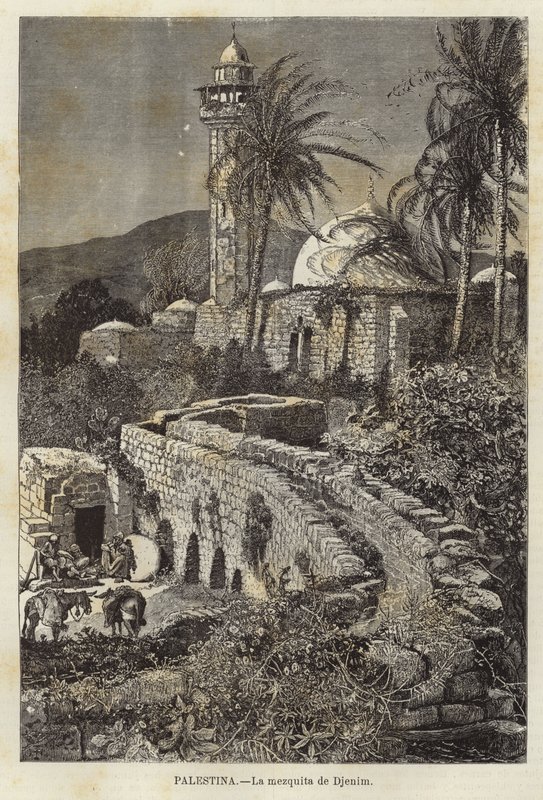 Palestina, Djenne-moskén av European School