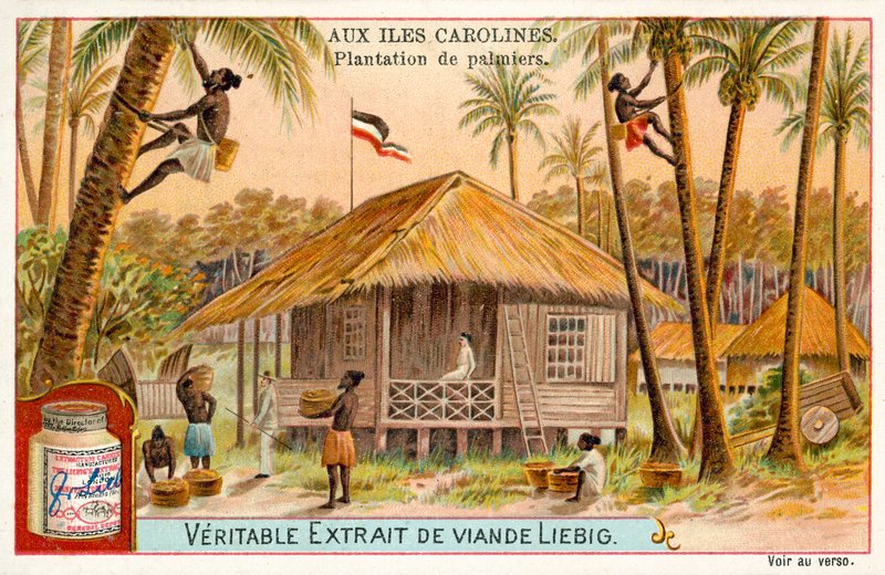 Palmplantage, Caroline Islands (chromolitho) av European School