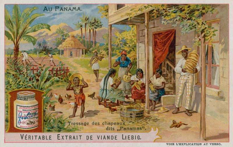 Panama-hattar görs av European School