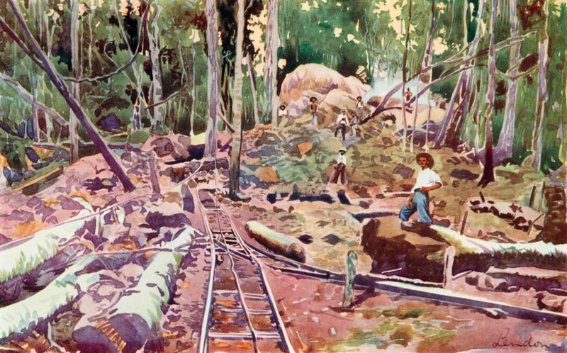 Genom Amazonas skog, järnvägen Madeira-Mamore (färglitografi) av European School