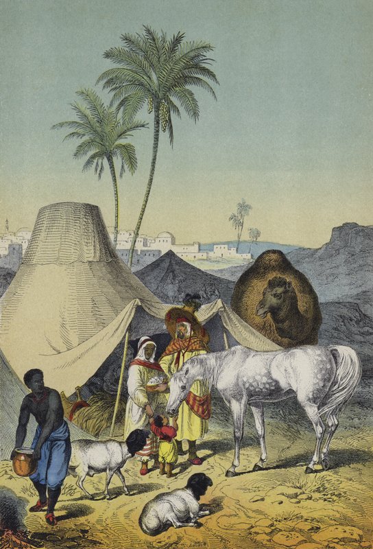 Människor, djur och växter i Nordafrika och Arabien (färg litho) av European School