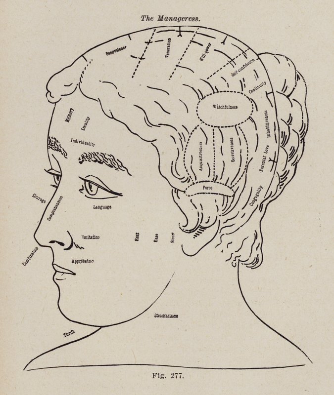 Frenologi, A Manageress (medlemmar) av European School