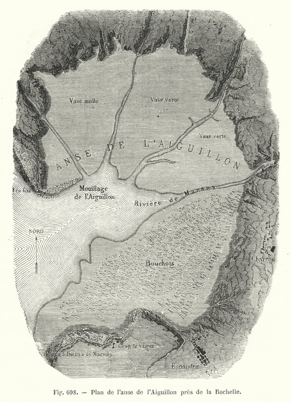 Plan över Aiguillon-viken nära La Rochelle (gravyr) av European School
