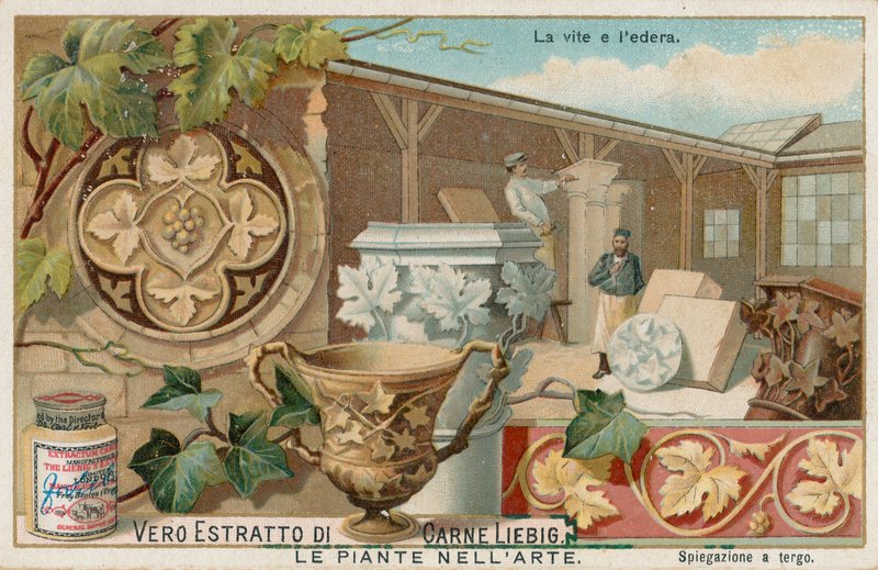 Växter i konsten, Liebig-kort, tidigt 1900-tal (chromo) av European School