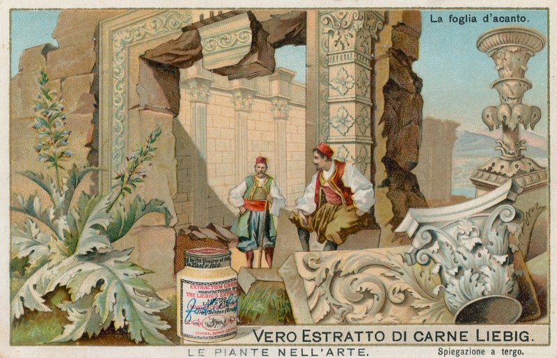 Växter i konsten, Liebig-kort, tidigt 1900-tal (chromo) av European School