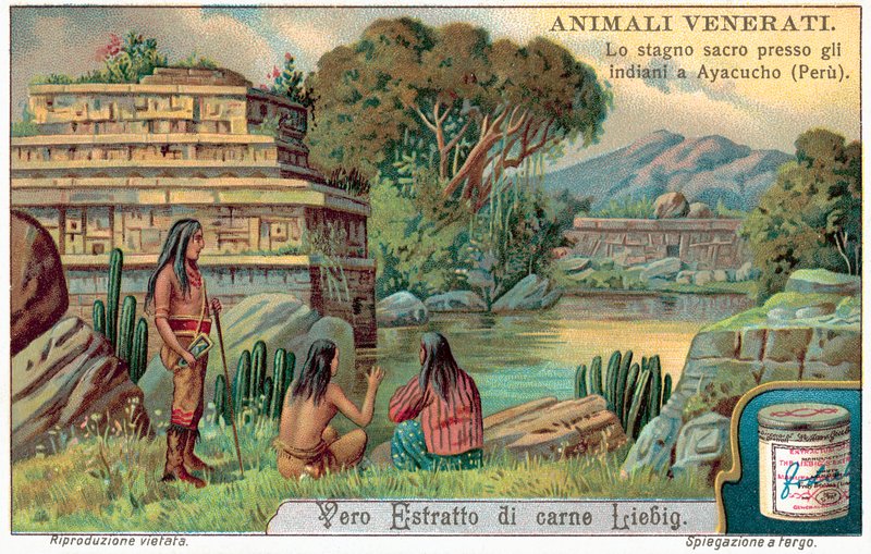 Pool av helig fisk i Ayacucho, Peru (chromolitho) av European School
