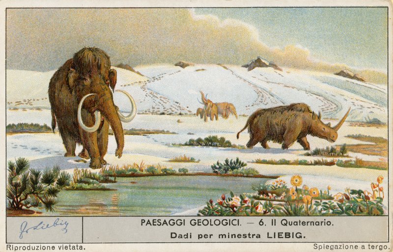 Förhistorisk värld, Liebig-kort, början av 1900-talet (chromo) av European School