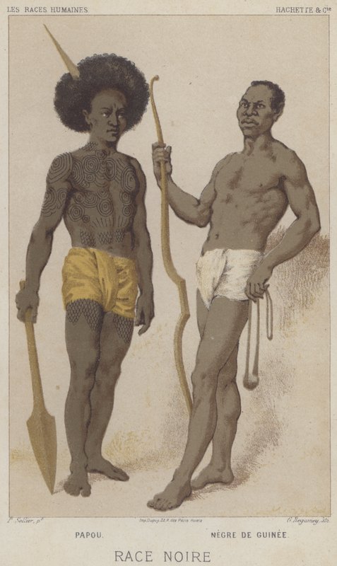 Svart ras, Papuan, Svart från Guinea (chromolitho) av European School