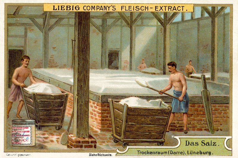 Salt: torkrum, Luneburg, Tyskland (chromolitho) av European School