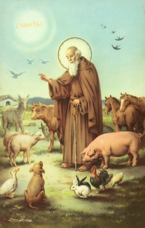 S:t Franciskus av Assisi omgiven av djur (färglitografi) av European School