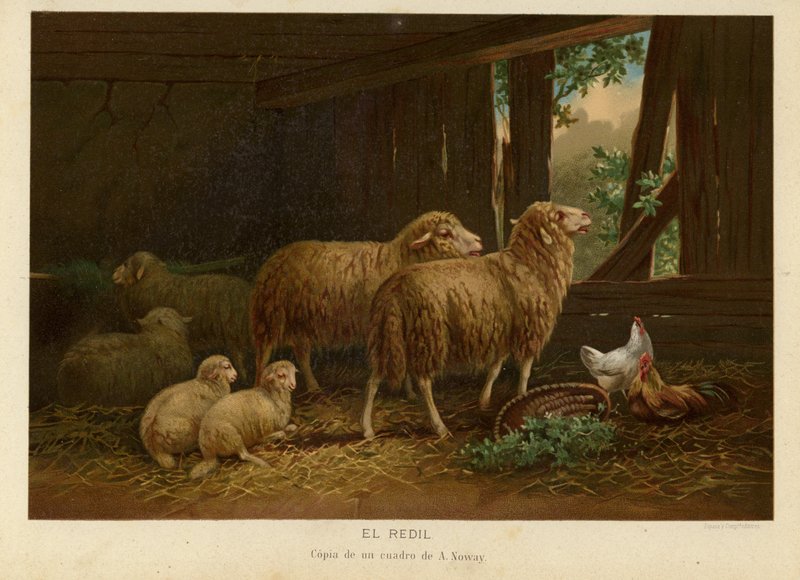 Flocken av European School