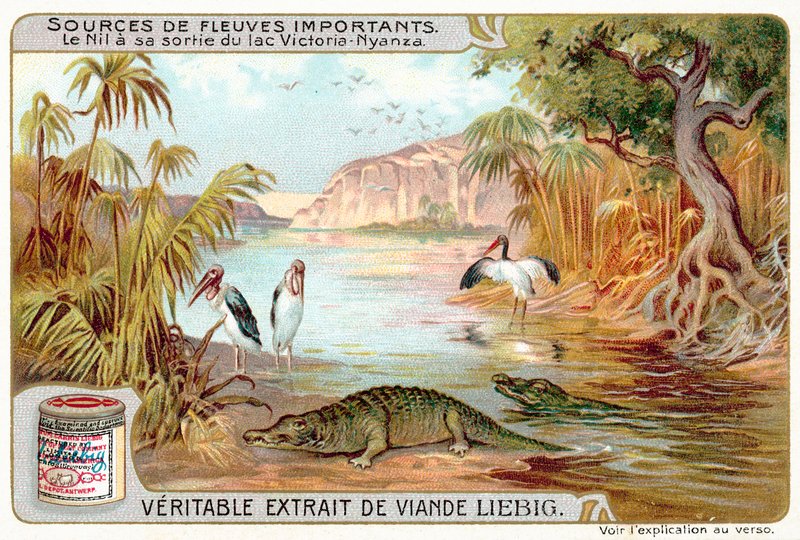 Nilen när den lämnar Victoriasjön (chromolitho) av European School
