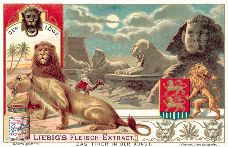 Lejonet (chromolitho) av European School