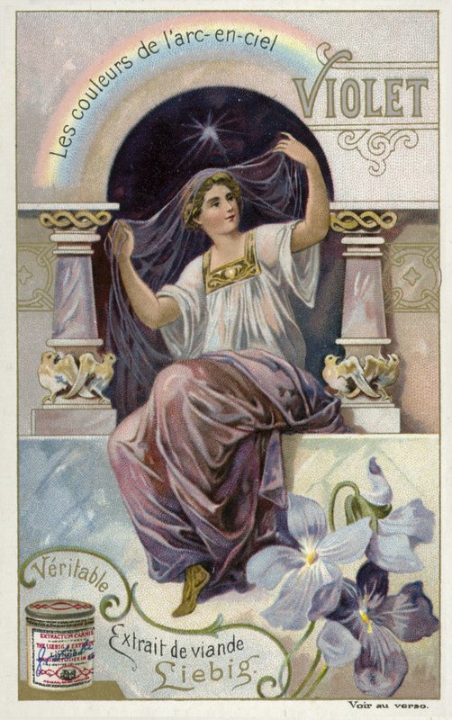 Violett av European School