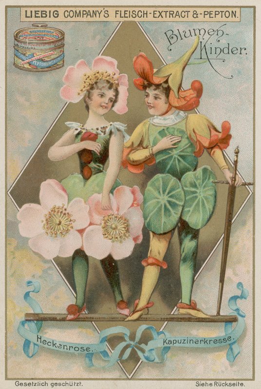 Wildrose och Nasturtium av European School