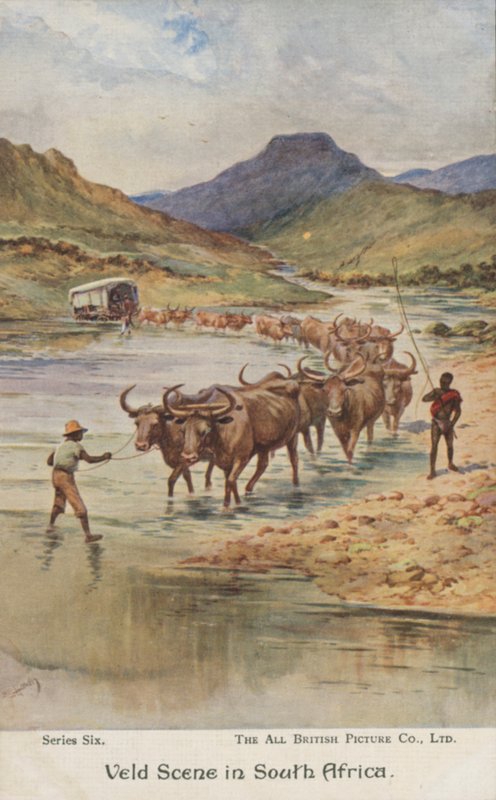 Bönder som kör boskap, Sydafrika (färg litho) av Evelyn Stuart Hardy