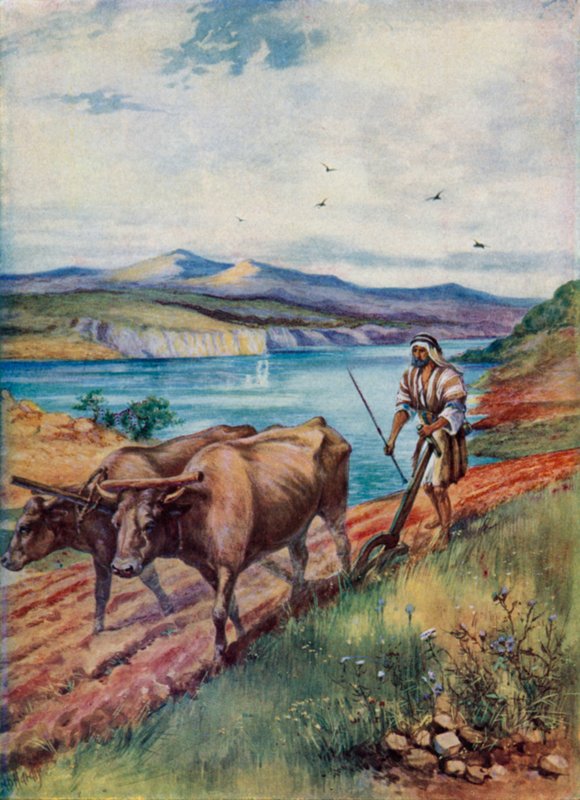 Plöjning i Jesu land (färg litho) av Evelyn Stuart Hardy