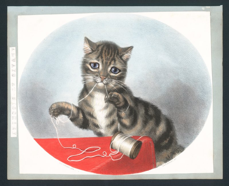 Always at Mischief - viktorianskt gratulationskort (chromolitho) av Fanny Corbaux