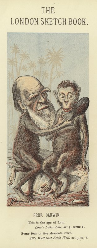 Karikatyr av Charles Darwin av Faustin