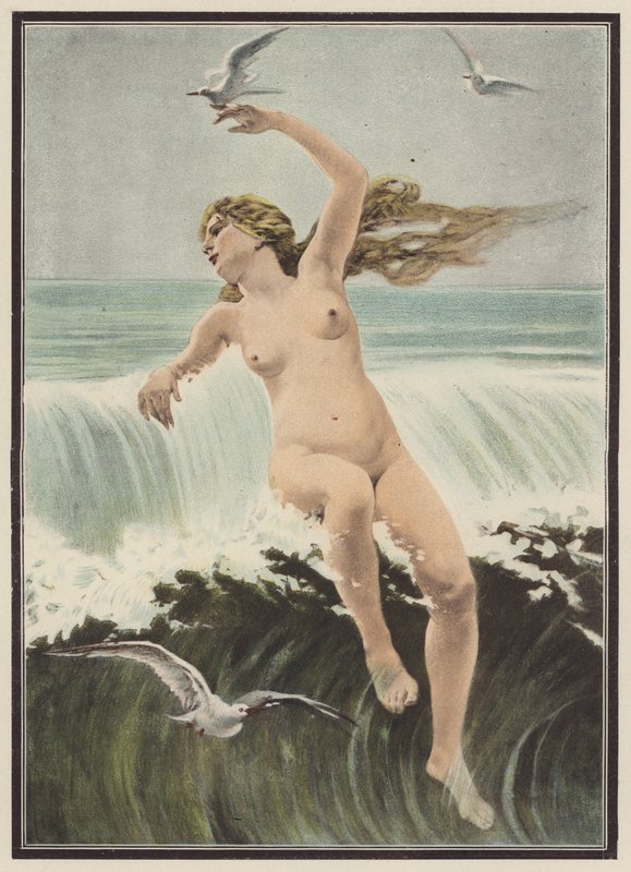 Vågor och måsar (färg litho) av Ferdinand Victor Eugene (after) Delacroix