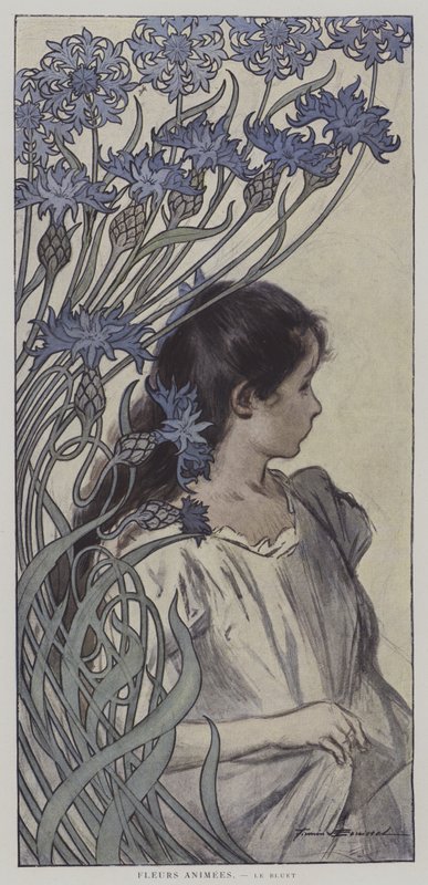 Fleurs Animees. Le Bluet. (Animerade blommor: Kornblomman) (färglitografi) av Firmin (after) Bouisset
