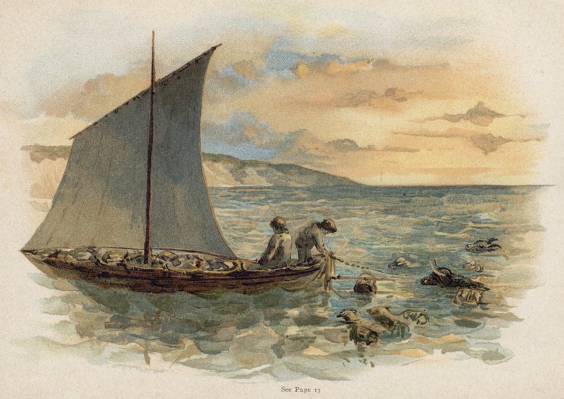 Scen från den schweiziska familjen Robinson: att hämta djuren från vraket (chromolitho) av Florence Maplestone