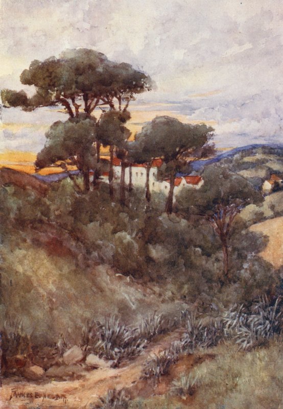 Stone Pines, Alger (färglitografi) av Frances Nesbitt