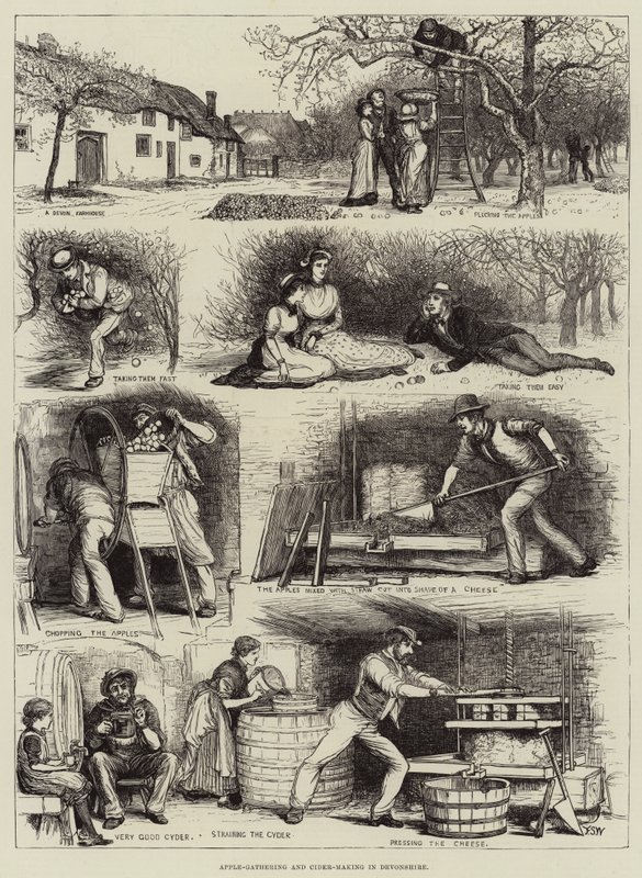 Äppelinsamling och cidertillverkning i Devonshire av Francis S. Walker