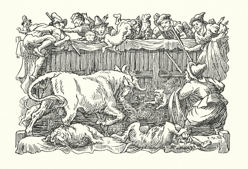 Merrie England: Tjurbete (litografi) av Francis Donkin Bedford
