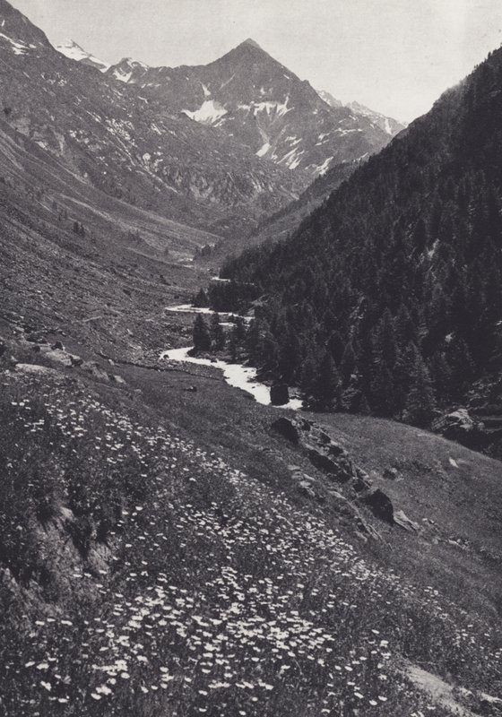 Östra Alperna: In the Windach Tal (s/v foto) av Francis Sydney Smythe