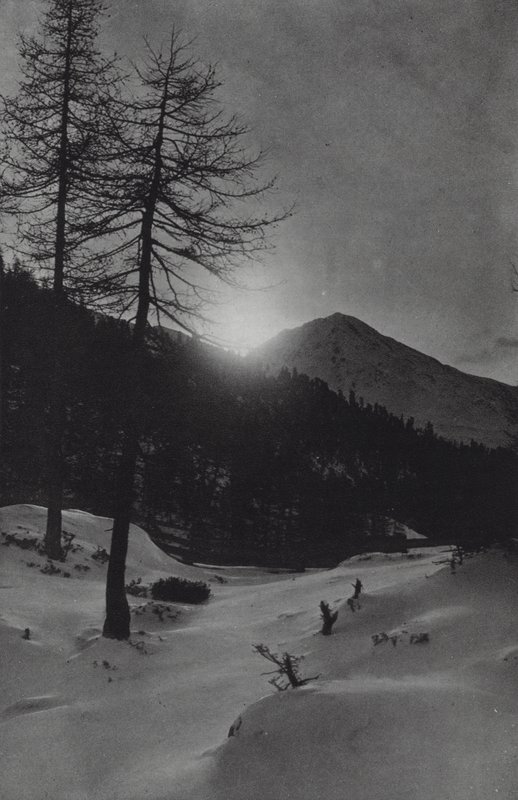 Alperna: nära Obergurgl (s/v foto) av Francis Sydney Smythe