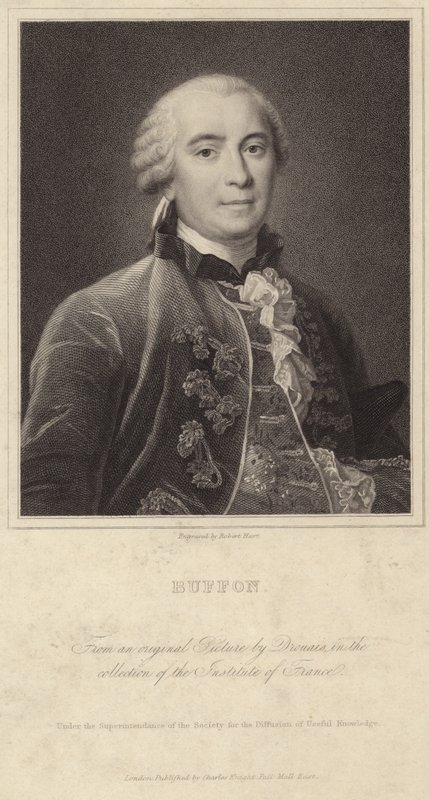 Porträtt av Georges-Louis Leclerc, greve av Buffon av Francois Hubert Drouais